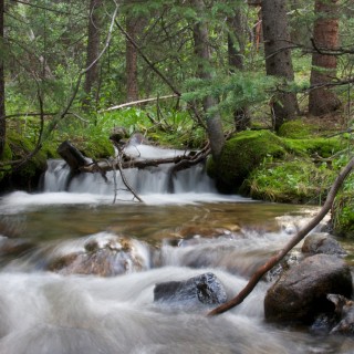 Guanella Pass