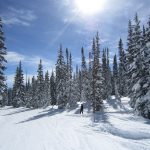 Steamboat Springs