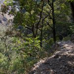 Hiking . Rishikesh India