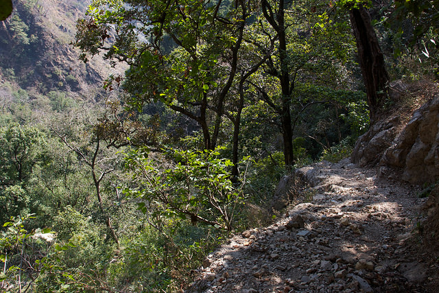 Hiking . Rishikesh India