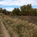 Cherry Creek Trail