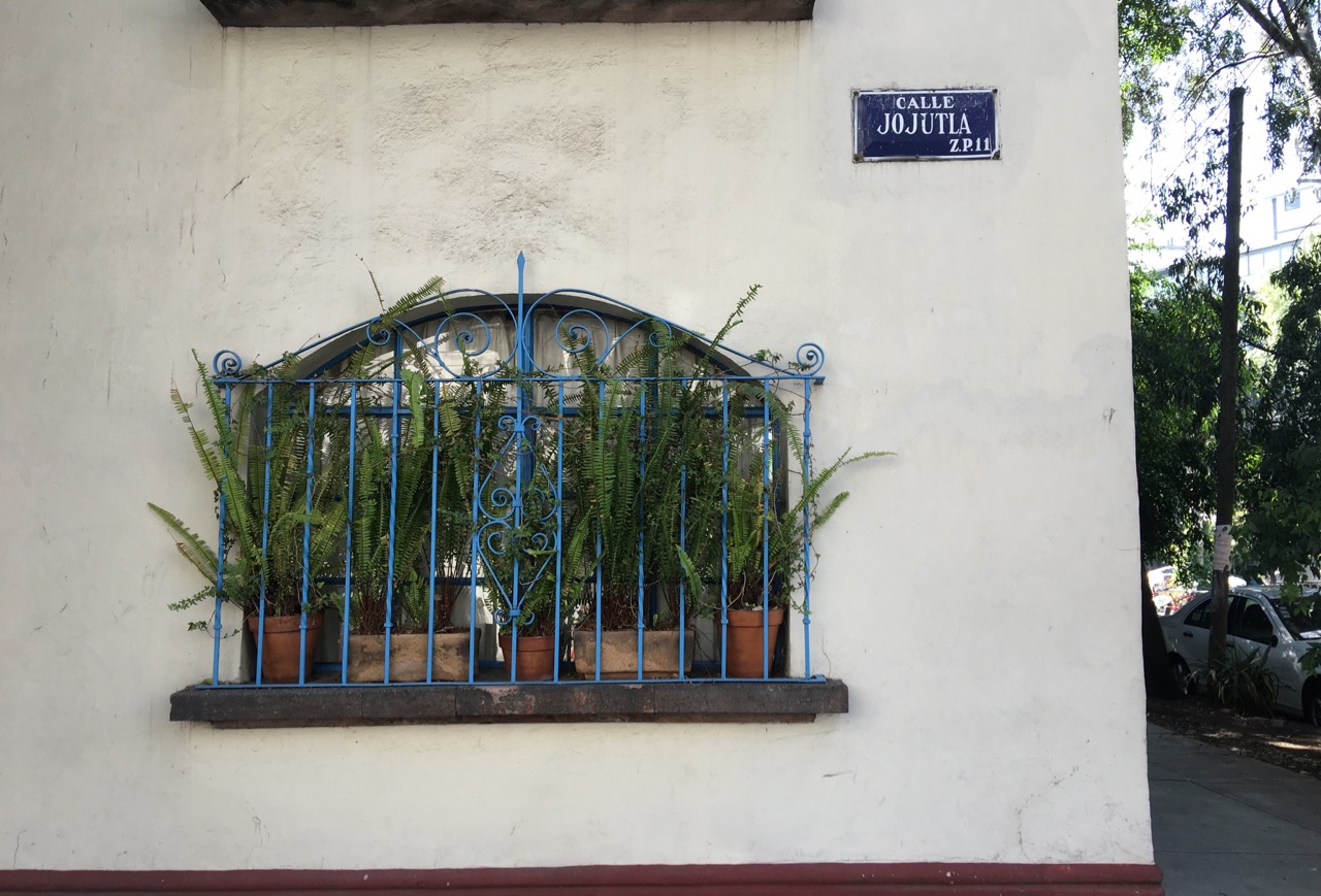 La Roma . Mexico City . James Van Dellen