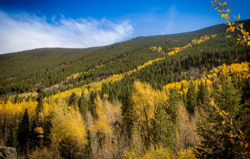 Herman Gulch Trail . Herman Lake