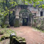 Desierto de los Leones