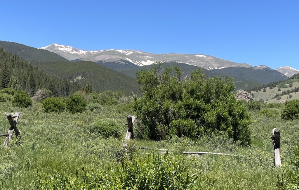 Guanella Pass . Colorado